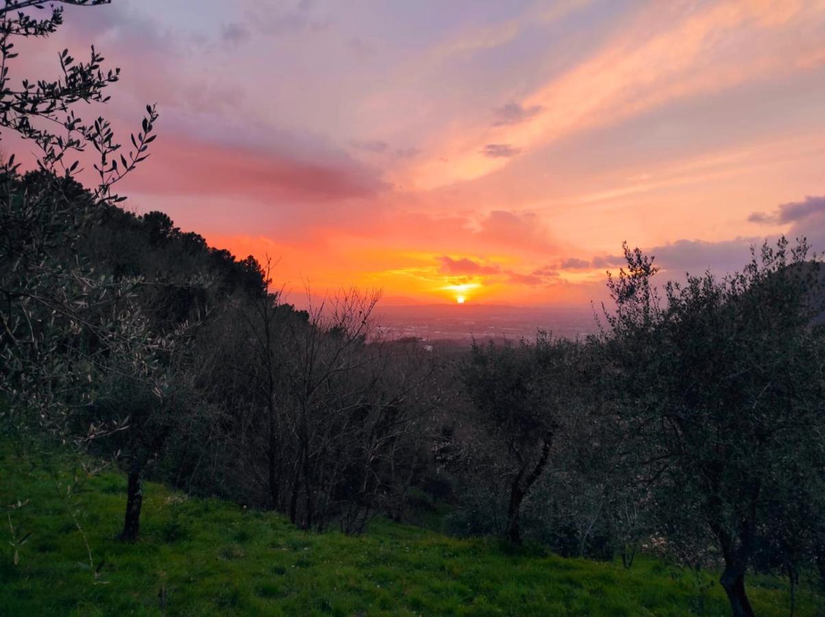 B&B Rosso Baccara Montevettolini Kültér fotó
